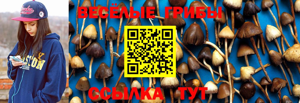 Галлюциногенные грибы мухоморы  Псилоцибиновые грибы прущие грибы  Лангепас  Вход с VPN 