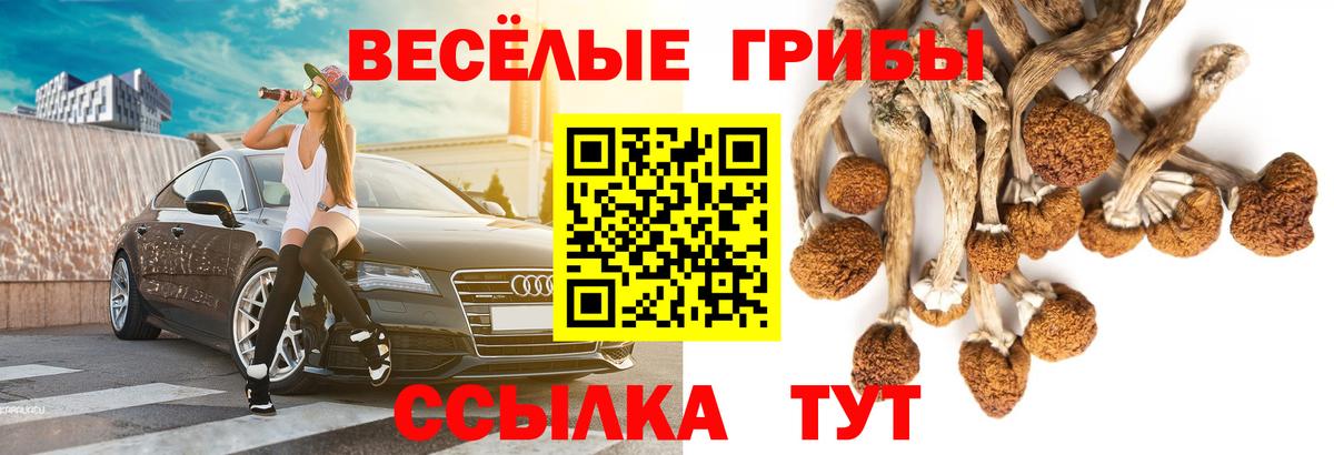 Галлюциногенные грибы ЛСД Лангепас